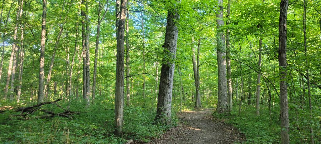 Our Nature Preserves – Red-tail Land Conservancy